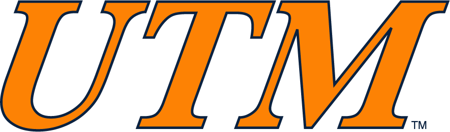 Tennessee-Martin Skyhawks 2007-2017 Wordmark Logo iron on transfers for T-shirts